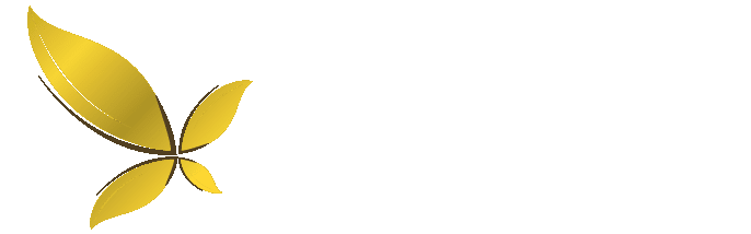 City Wellness Košice